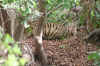 IMG_8569.JPG (133090 Byte)