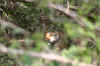 IMG_8606.JPG (91724 Byte)