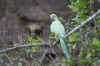 IMG_8631.JPG (68130 Byte)