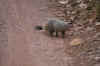 IMG_8639.JPG (72828 Byte)