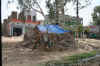 IMG_8469.JPG (101171 Byte)