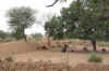 IMG_8489.JPG (93082 Byte)