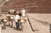 IMG_8398.jpg (118089 Byte)