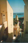 Portocervo4.jpg (28503 Byte)