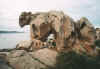 orso.jpg (36134 Byte)
