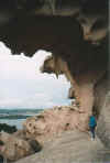 view3.jpg (28013 Byte)