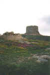 torrefruehling.jpg (31390 Byte)