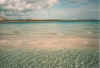 asinara1.jpg (37985 Byte)