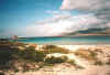 asinara2.jpg (40180 Byte)