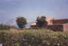 capocodacavallo.JPG (32668 Byte)