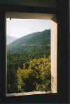 fenster.jpg (57709 Byte)