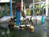 IMG_5708.JPG (111257 Byte)
