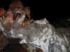 IMG_4823.JPG (69658 Byte)