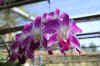IMG_6828.JPG (66036 Byte)