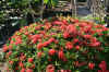 IMG_6832.JPG (144886 Byte)