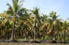 IMG_6852.JPG (102968 Byte)