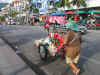 IMG_4903.JPG (106070 Byte)