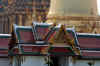 IMG_6603a.jpg (94125 Byte)