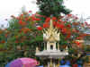 IMG_5013.JPG (118391 Byte)