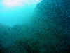 IMG_5104a.jpg (133757 Byte)