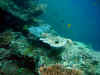 IMG_5109a.jpg (130331 Byte)