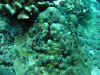 IMG_5281a.jpg (160966 Byte)