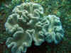IMG_5313a.jpg (169467 Byte)
