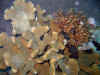 IMG_5333a.jpg (161446 Byte)