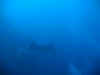 IMG_5395.jpg (32657 Byte)