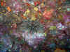IMG_5431a.jpg (171967 Byte)