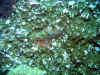 IMG_5464a.jpg (193478 Byte)