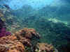 IMG_5465a.jpg (145465 Byte)