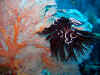 IMG_5505a.jpg (172033 Byte)