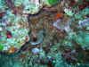 IMG_5574a.jpg (187627 Byte)