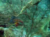 IMG_5578a.jpg (207399 Byte)