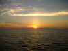IMG_5377.JPG (60419 Byte)
