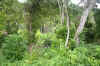 IMG_6454.JPG (121551 Byte)