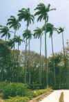 farleyhill3.jpg (54427 Byte)