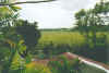 sunburyplantation5.jpg (49338 Byte)