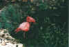wildlifereserve1.jpg (47465 Byte)