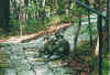wildlifereserve3.jpg (72378 Byte)