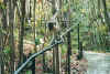 wildlifereserve4.jpg (69015 Byte)