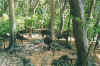 wildlifereserve5.jpg (84758 Byte)
