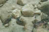 cave3.jpg (96342 Byte)