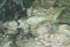 cave4.jpg (95467 Byte)
