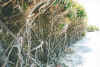 northpoint7.jpg (118086 Byte)