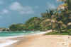 bathsheba5.jpg (37120 Byte)