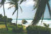 bathsheba7.jpg (43106 Byte)