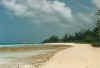 beach.jpg (29296 Byte)