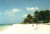 cocnutcourtbeach.jpg (26012 Byte)